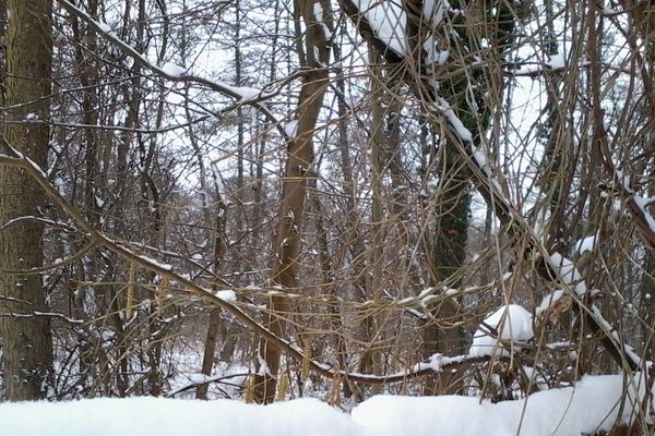 Saint-Leu-d'Esserent dans l'Oise ce matin sous la neige