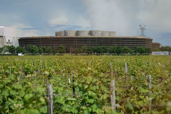 Les terres autour de la centrale nucléaire de Chinon sont au cœur d'une polémique entre la Confédération paysanne et la communauté de communes.