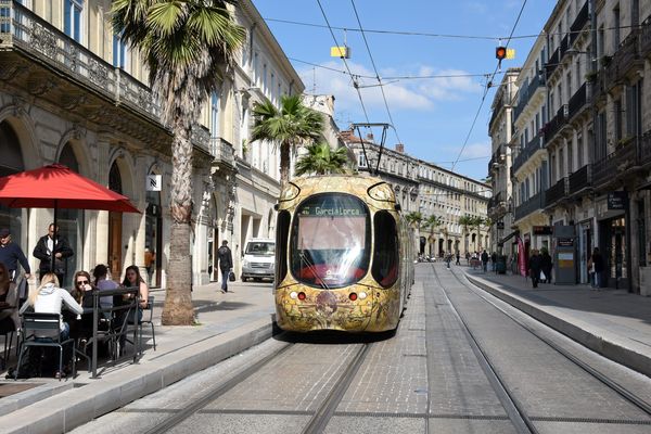 Sa victime avait réussi à le prendre en photo. A Montpellier, un homme a été interpellé par la police pour agression sexuelle dans le tramway. (illustration)