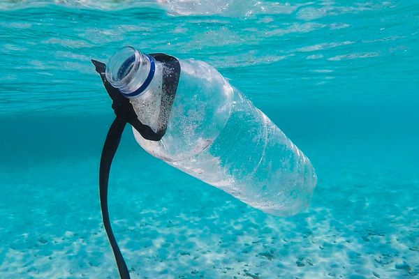 Le fléau des plastiques à la mer