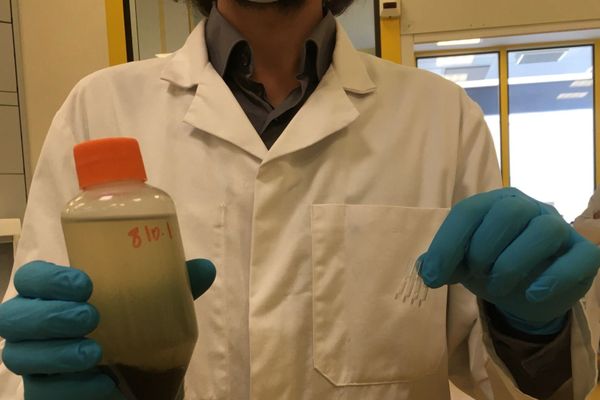 La méthode mise au point par le laboratoire Eurofins permet de détecter le SARS-CoV-2 dans les eaux usées.