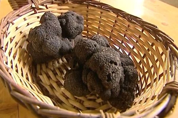 Truffes noires (Archives)