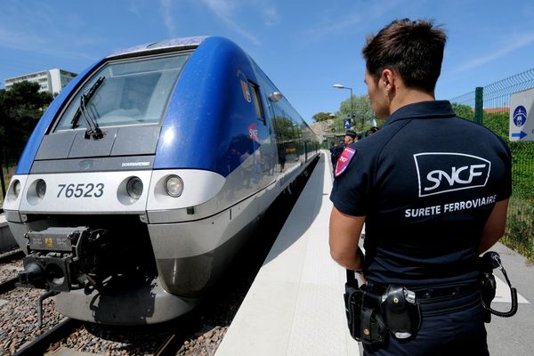 Illustration- Une centaine d'agents patrouille dans les trains et les gares de la région PACA.