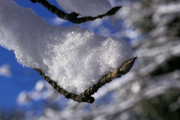 A partir du mardi 29 mars, le retour de l'hiver est attendu en Auvergne.