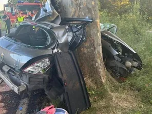 Allègre-les-Fumades (Gard) - une voiture percute un platane à grande vitesse. L'accident a fait 3 morts - 23 juillet 2024.