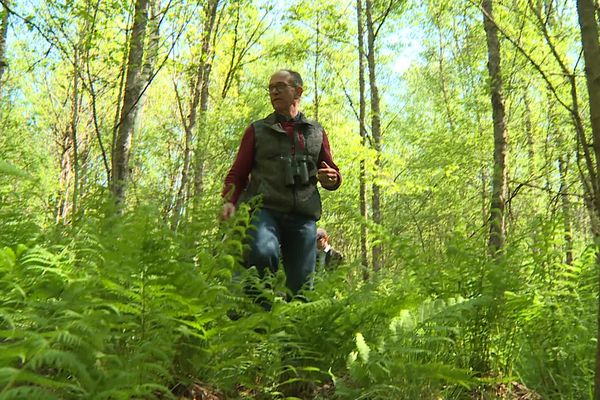 Jean-François Petit dans sa forêt. "On fait de la non gestion".