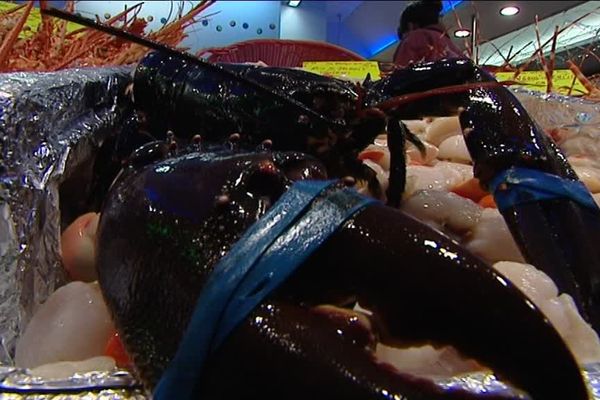 Le homard, l'une des stars de ce reveillon...