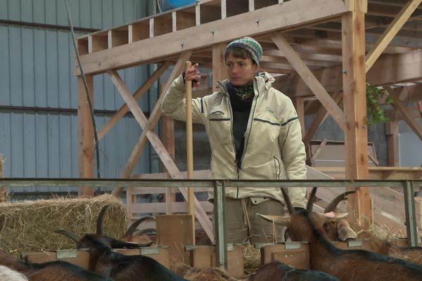 Dans le Puy-de-Dôme, un collectif de paysannes émerge pour bousculer les codes de l’agriculture traditionnelle.