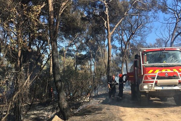 Un feu a ravagé, le lundi 29 juillet, 30 hectares de végétation à Saint-Mandrier, dans le Var.