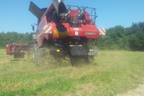 Une moissonneuse à l'oeuvre à Beaumont (Vienne)