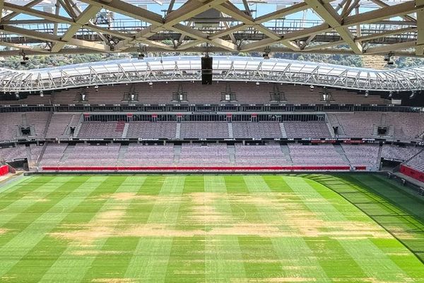 Pelouse de l’Allianz Riviera, l’OGC Nice s’insurge... Les travaux annoncés..