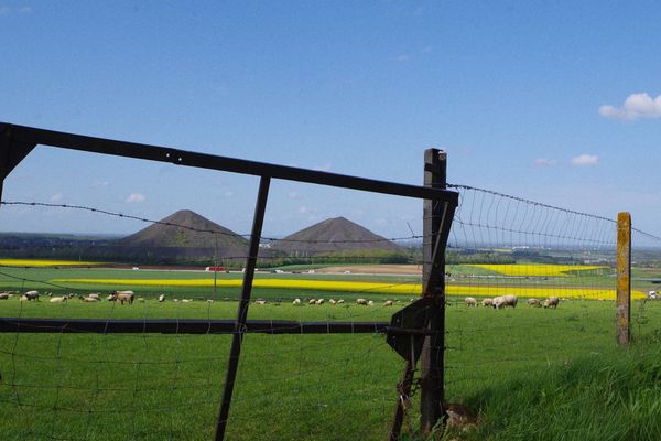 Terrils d'Haillicourt le 5 mai