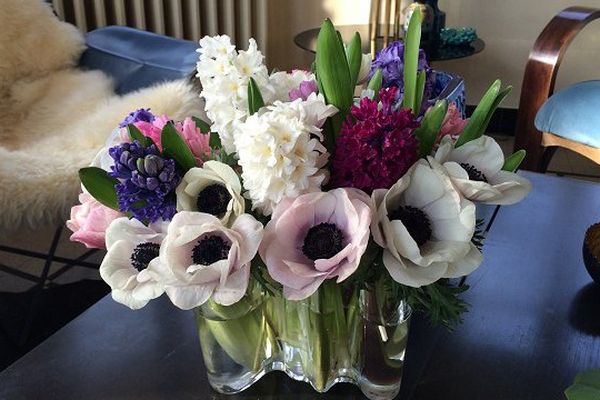 Le bouquet du jour : anémones et jonquilles