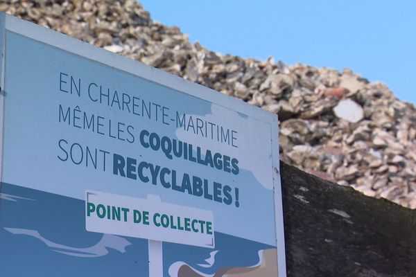 Depuis une dizaine d'années, l'agglomération de La Rochelle recycle les coquillages.