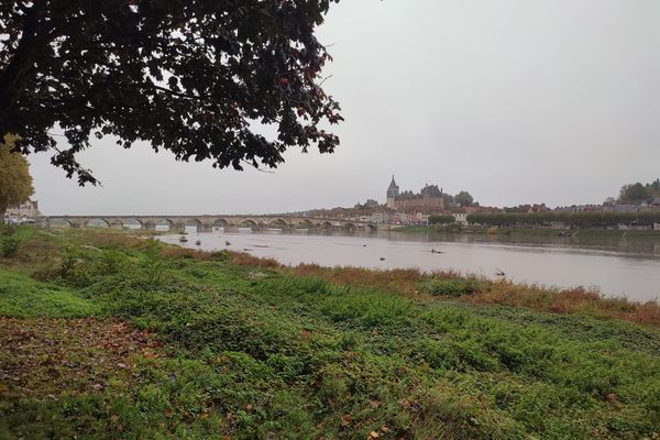 La Loire ce vendredi 18 octobre 2024, à Gien dans le Loiret.