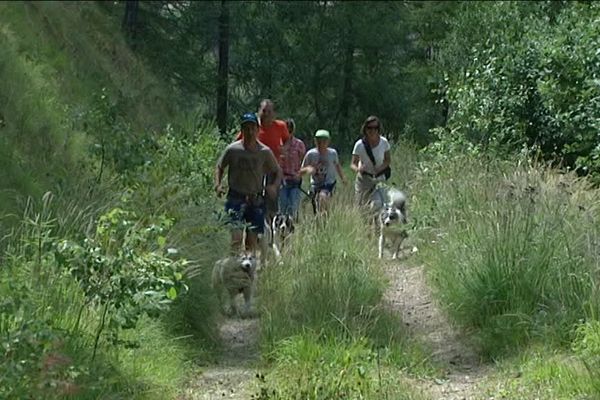 Un pas cadencé pour une randonnée sportive