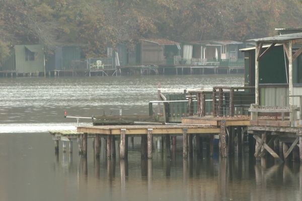 Près de Vitré, l'étang de Carcraon est si pollué que la Fédération de pêche d'Ille-et-Vilaine envisage de le faire disparaître en le remblayant.