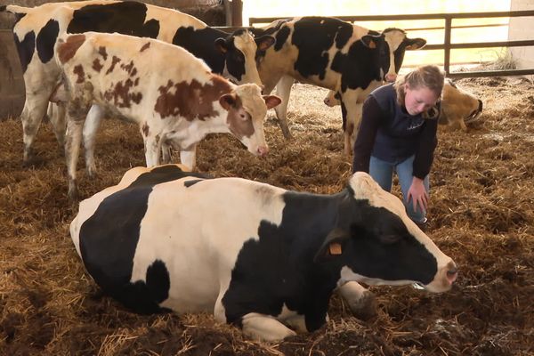 Travaux pratiques pour  ces élèves de BTS agricole