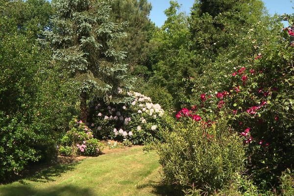 Les jardins d'Ewen : entre arbres centenaires et collections de plantes sauvages .