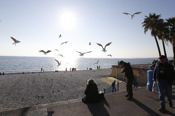 Sur une plage de Nice, le 28 décembre 2015