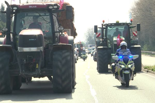 Les agriculteurs ont mené une opération escargot dans les rues d'Avignon pour réclamer le paiement des aides européennes de la PAC.