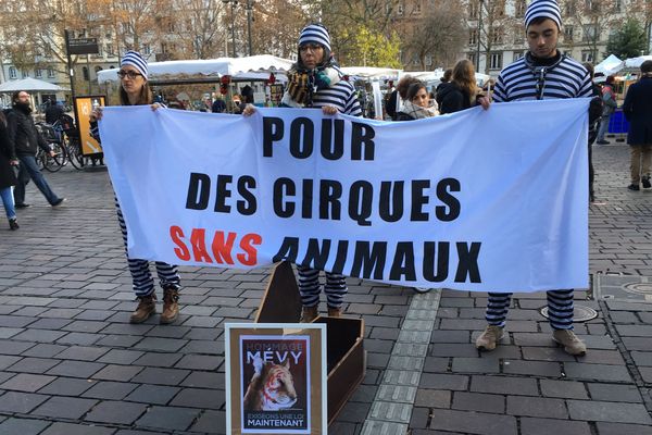 La mise en scène a eu lieu au milieu des touristes, sur la place d'Austerlitz.