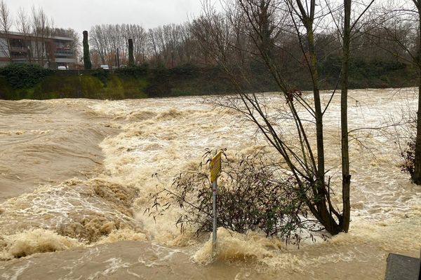 Les bras de la Garonne sur l'Île du Ramier à Toulouse où s entraînent les kayakistes d habitude