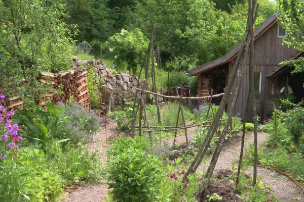 Le jardin à visiter de Michel Hutt