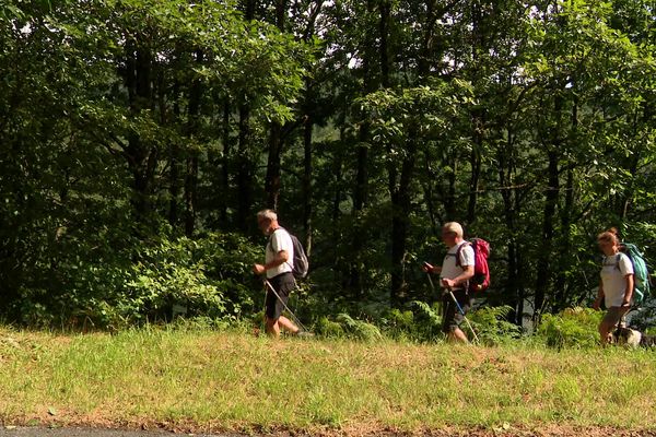 La fréquentation touristique a des impacts sur la faune et la flore des sept parc naturels régionaux d'Occitanie.