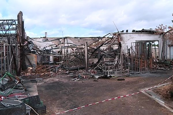 En 2019, un violent incendie a durement frappé la pépinière.