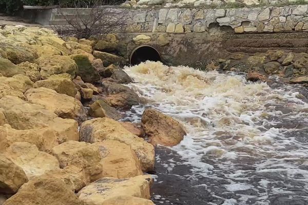 Le juge des libertés a rendu son ordonnance dans le cadre du référé environnemental initié suite aux épisodes de pollution du bassin d'Arcachon.