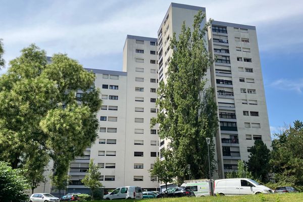 Une panne d'ascenseurs dure depuis plus d'un an au numéro cinq de la tour Delacroix à Mulhouse (Haut-Rhin).