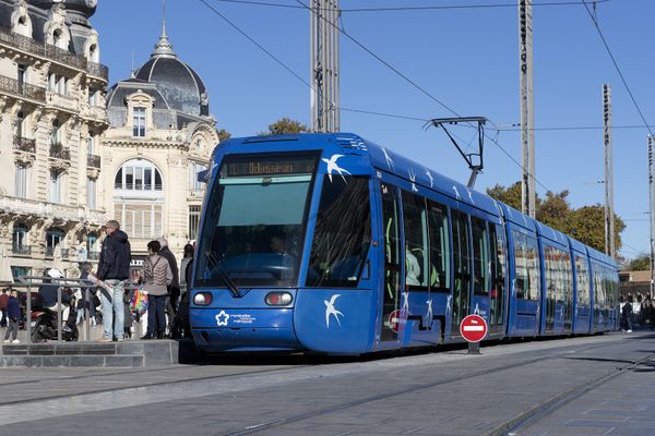 Un homme de 26 ans en possession d'une machette a été interpellé ce samedi dans un tramway de Montpellier.