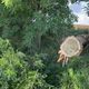 Une jeune femme de 19 ans a été tuée dans un accident de la circulation en Moselle. La chute d’un arbre en plein orage est à l’origine du drame.