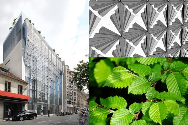 Les feuilles de charme inspirant la façade d'un immeuble, c'est le biomimétisme.