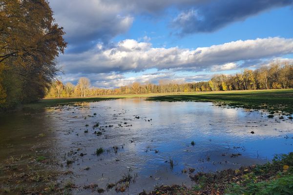 Les nappes phréatiques ont débordé, et certains prés dans le Ried sont inondés.