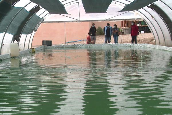 La spiruline représente une filière d'avenir.