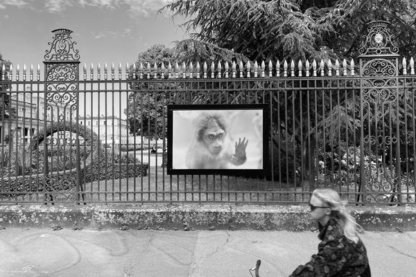 Les photos de Bernard Plossu, en immersion dans cinq musées de Bordeaux, s'exposent sur les grilles du jardin public et à la galerie "arrêt sur l'image"