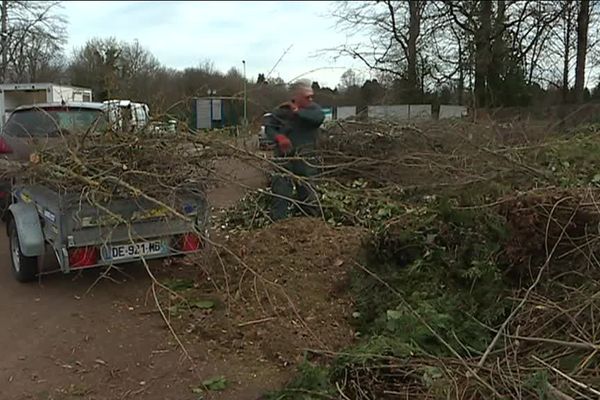 Comment nos déchets verts deviennent-ils du compost ?