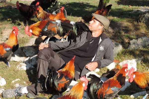 Damien Vidart, éleveur amateur de poules, lance un plan de sauvegarde de la race gauloise.