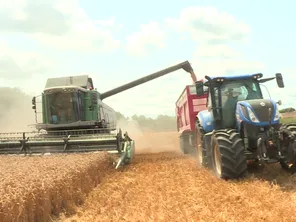 Les moissons ont commencé aux alentours du 20 juillet dans l'Oise.