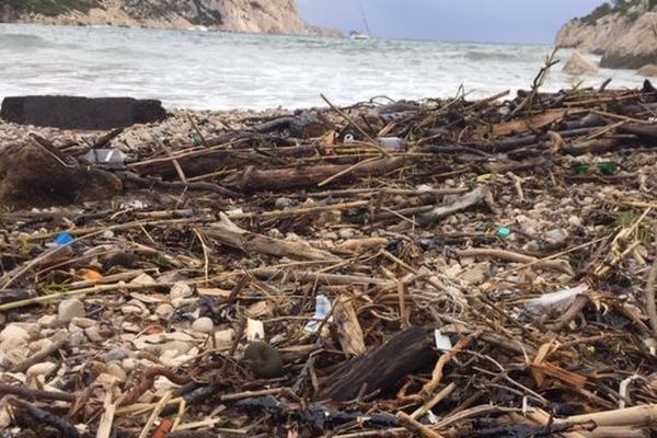 Des boulettes d'hydrocarbure parmi les détritus ramenés par la mer sur la plage de Sormiou.