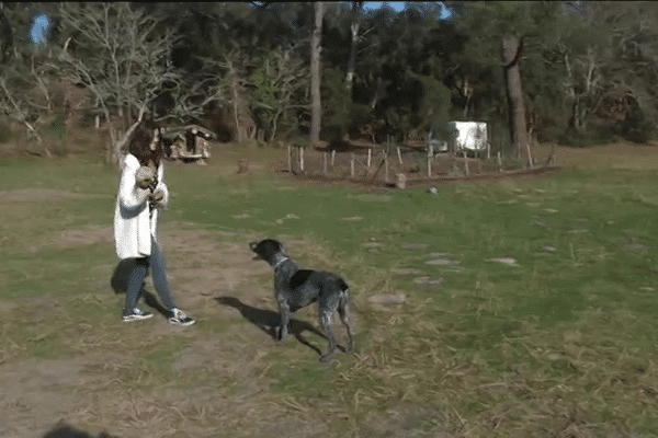 S'entraider aussi pour garder les animaux