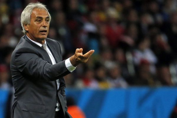 Vahid Halilhodzic lors de la dernière Coupe du Monde.