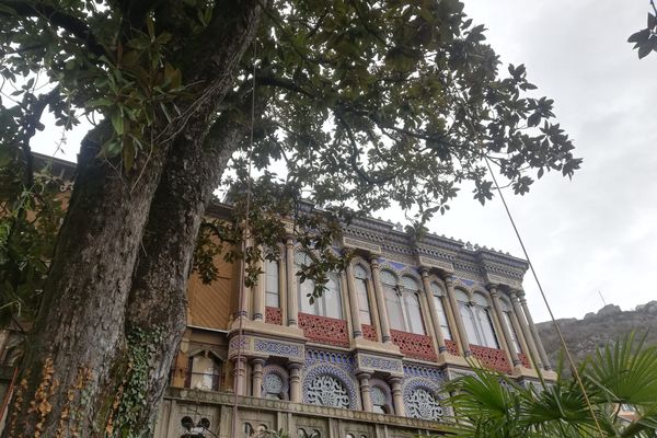 Ce mercredi 8 mars, un magnolia âgé de 160 ans a subi une opération d'haubanage en Isère. Une technique exceptionnelle pour la sécurité de cet arbre et de son environnement.