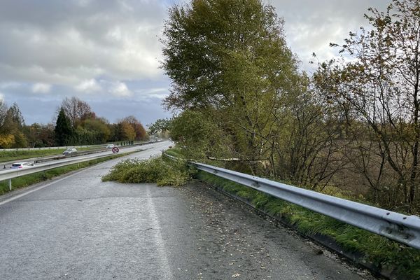 Les vents violents de ce jeudi 21 novembre 2024 entraînent des chutes d'arbres sur l'A20 à hauteur de la sortie 38.