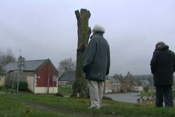 L'arbre de la Liberté sans ses branches