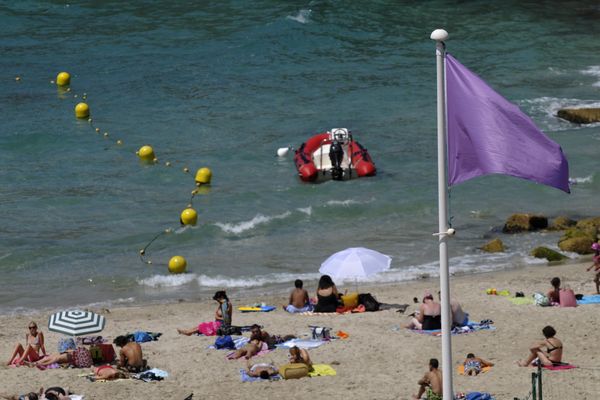 En cas de pollution, le drapeau violet indique une interdiction des baignades sur les plages surveillées.