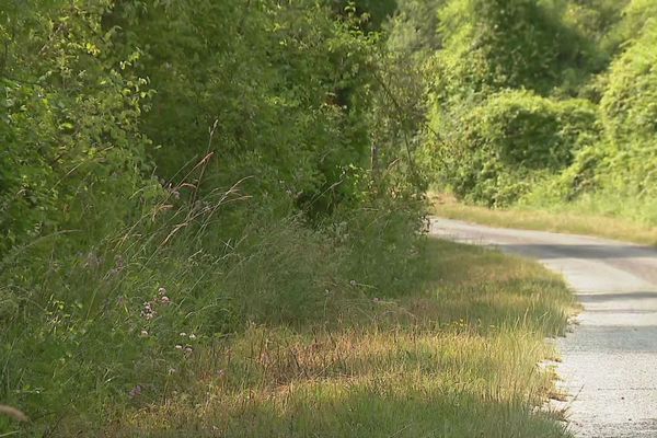 Découverte d'un corps d'une femme dans un champ, sur la commune de Migné-Auxances (86).