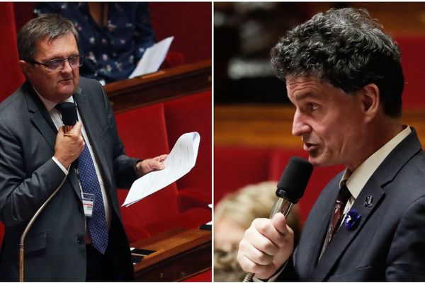 Gilles Lurton "pour" la loi anti-casseurs, Paul Molac totalement "contre"